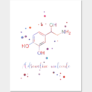 Adrenaline molecule Posters and Art